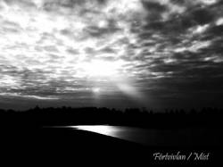 Mist (NL) : Förtvivlan - Mist